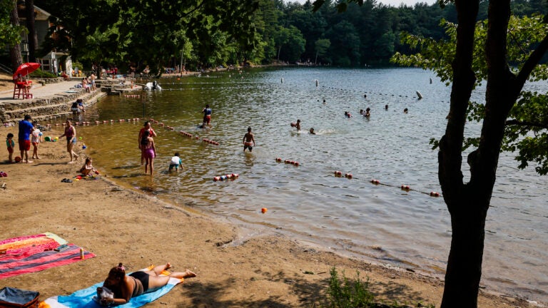 Officials say people are hacking through fences to access Walden Pond beachfront