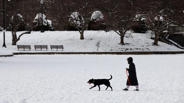 Boston meteorologists on the potential for snow Tuesday, Dec. 2