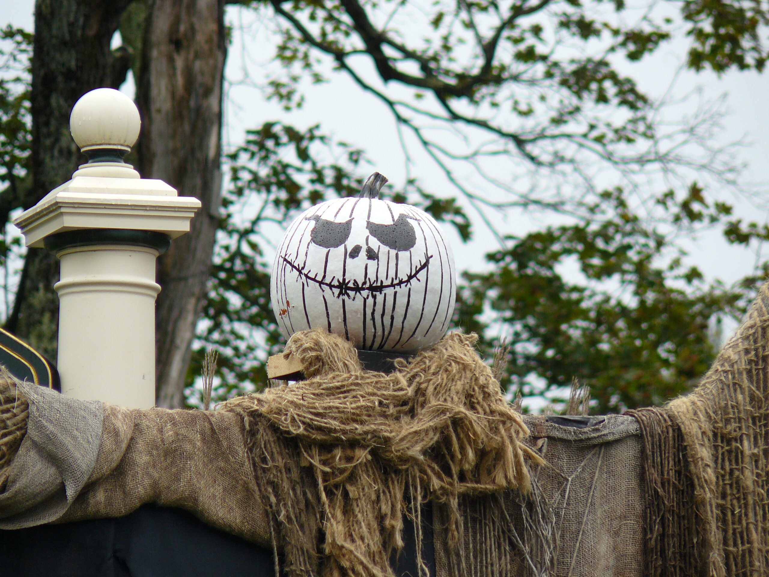 The best Halloween displays of 2023 in RI, Mass.
