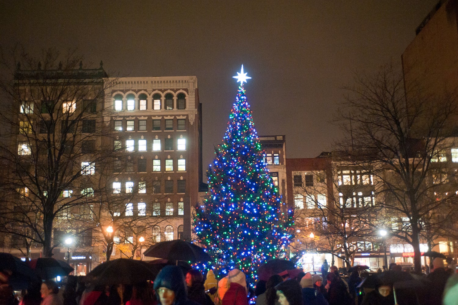 Sing and celebrate the holidays at the 2021 Copley Square Tree Lighting