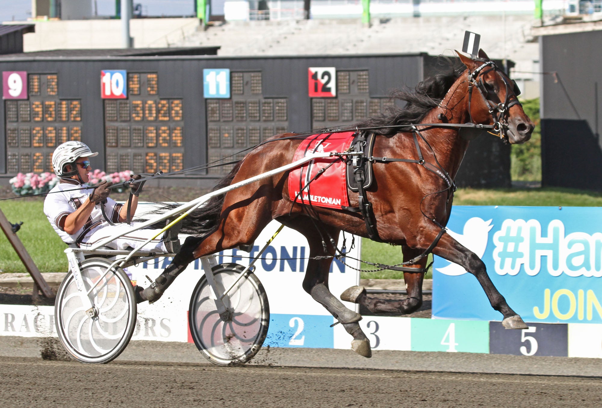 Royalty For Life wins Hambletonian