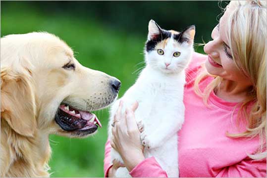 Natural Medicine for Pets and Animals