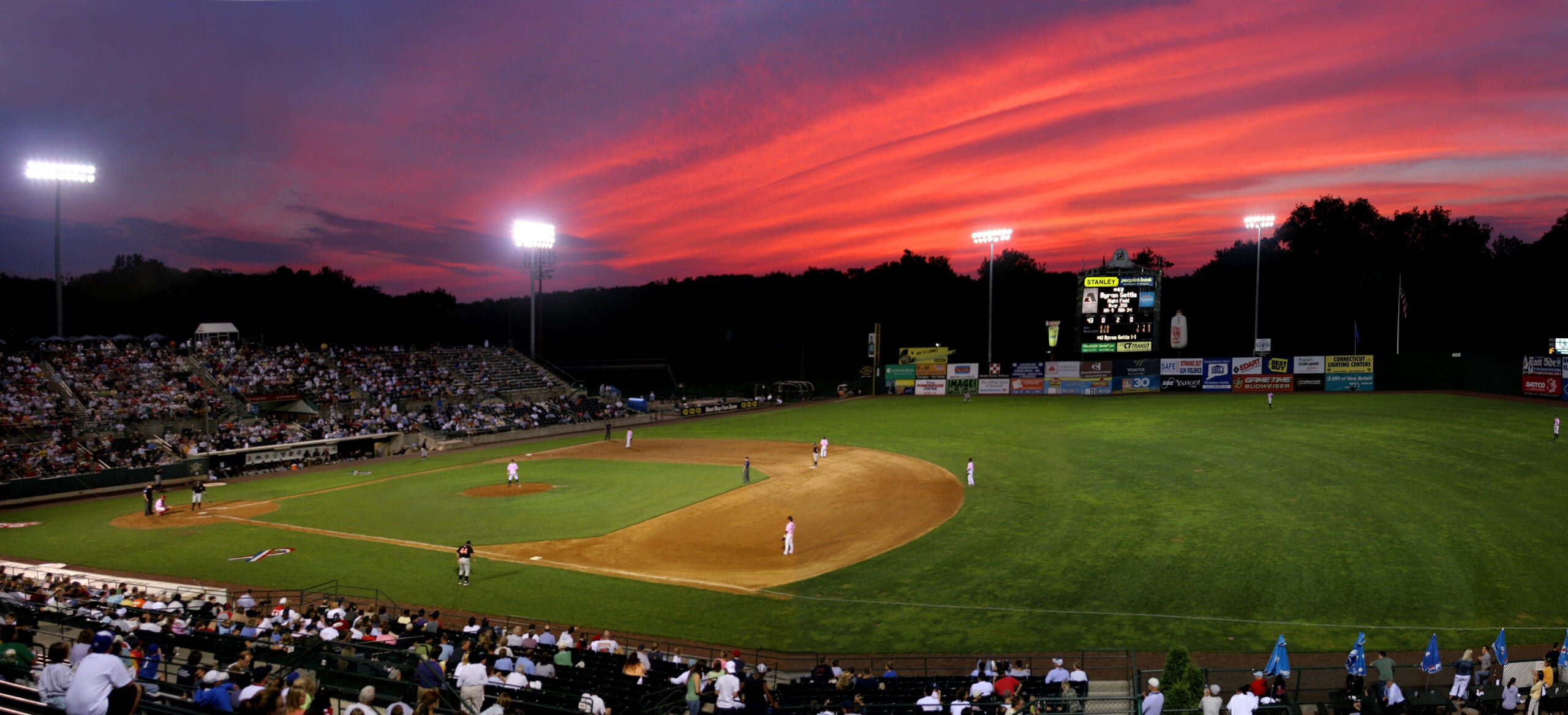 We have the power to name Hartford's baseball team the YARD GOATS 