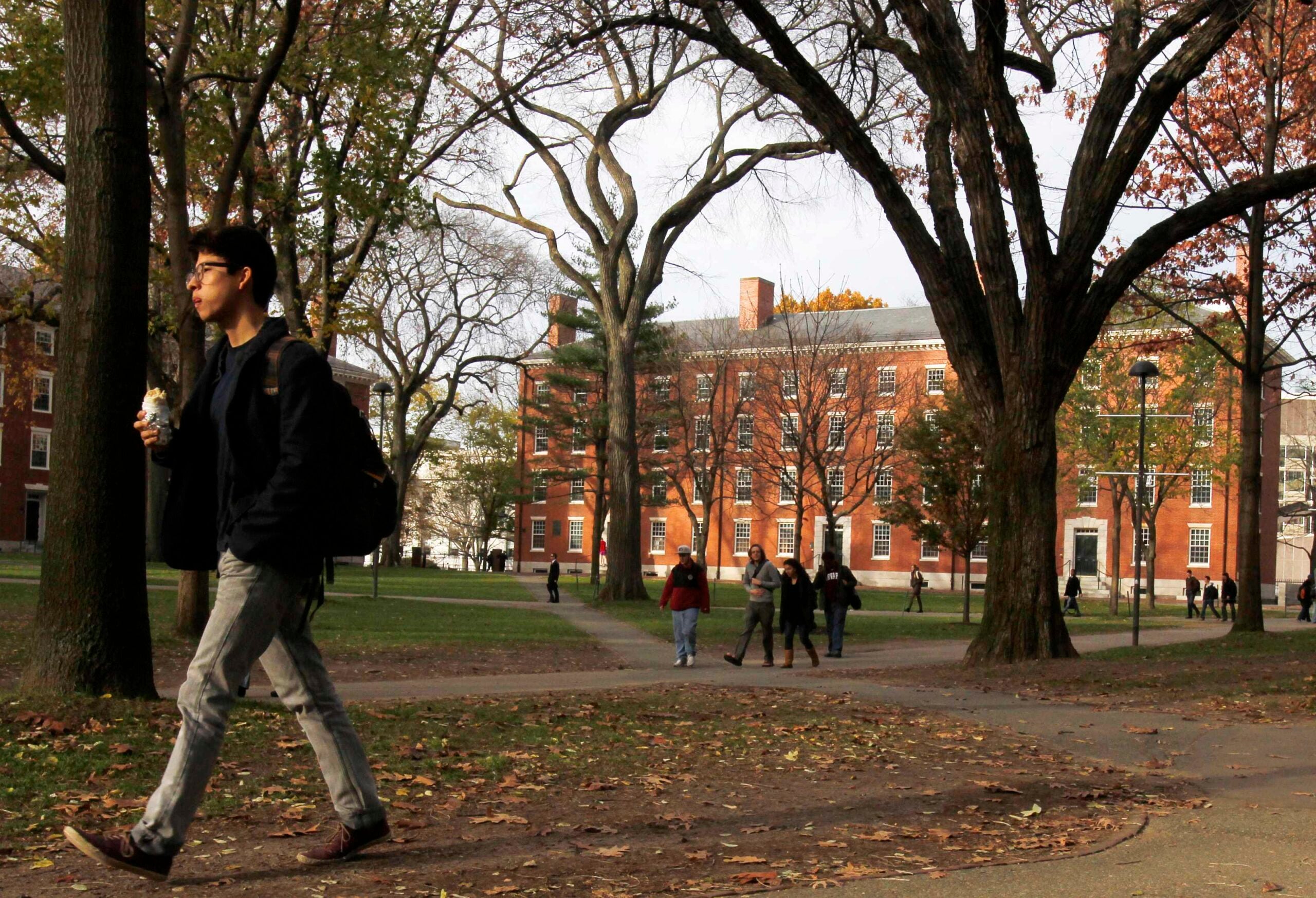 Harvard students blew off pre-finals steam by running naked around the Yard  last night