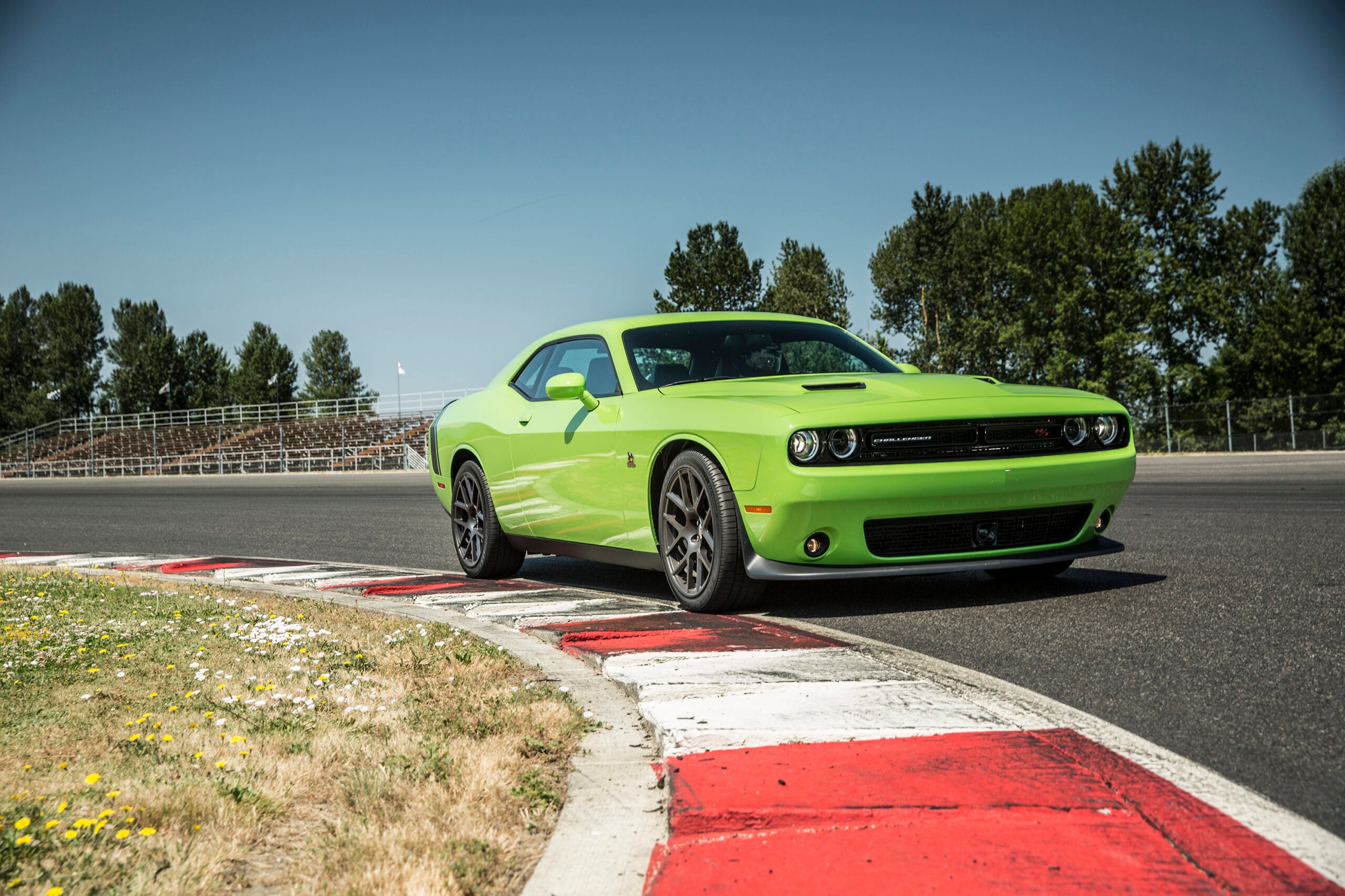 dodge-challenger-scat-pack-an-affordable-alternative-to-hellcat