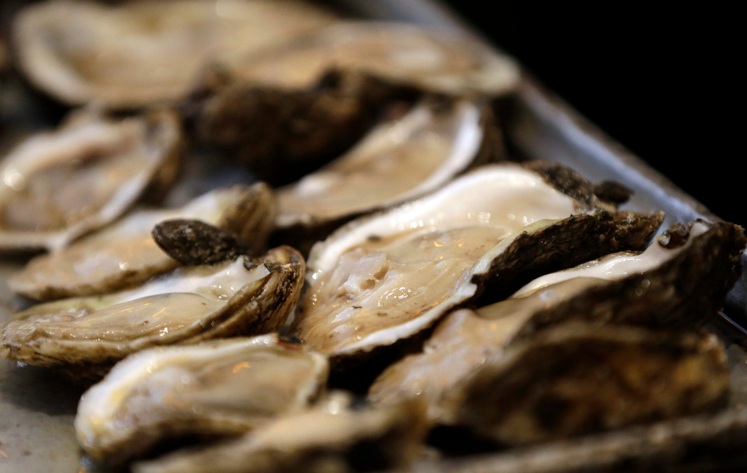 New England Sees Spike in Illnesses from Oysters Boston