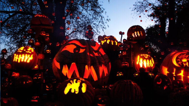 The history of American jack-o'-lanterns