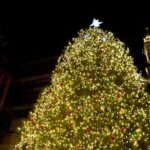 Christmas Tree Lightings Boston
