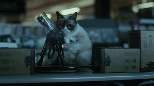 Watch the Trailer for Lifetime s Grumpy Cat s Worst Christmas