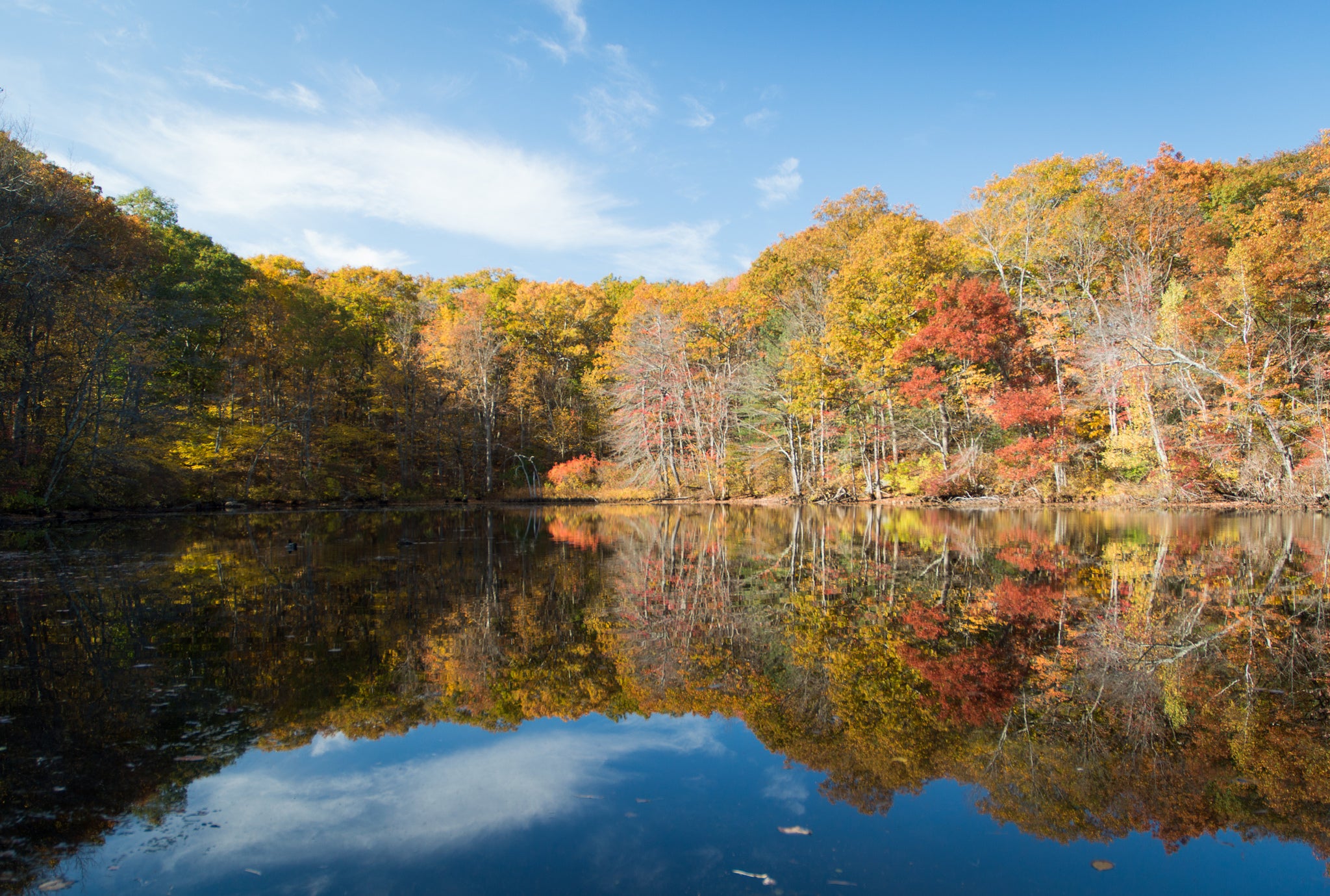 5 things to know about living in Medford - News - Boston.com Real Estate