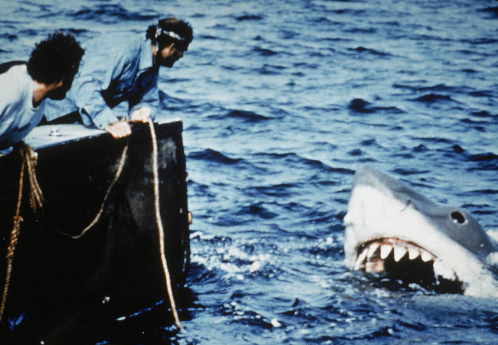 ‘Jaws’ heads back to select theaters for 40th anniversary