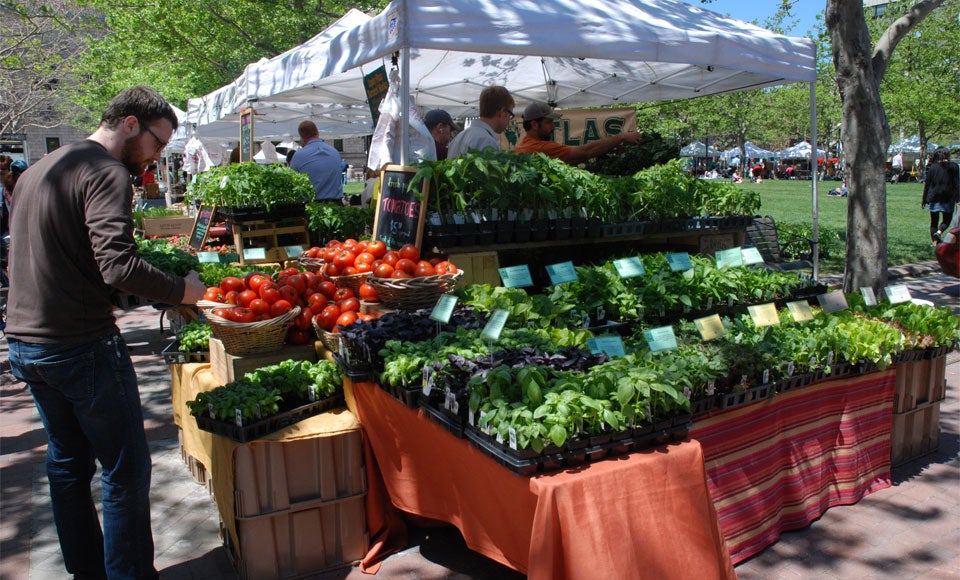 Your NeighborhoodbyNeighborhood Guide to Farmers Market Season News