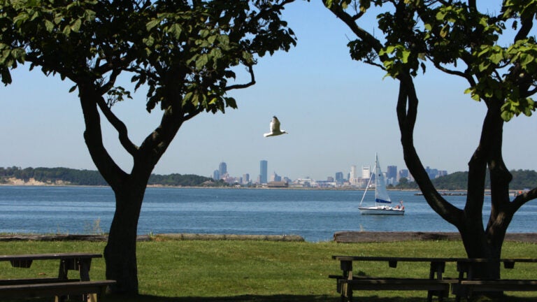 Hop a free ferry to Georges Island Saturday.