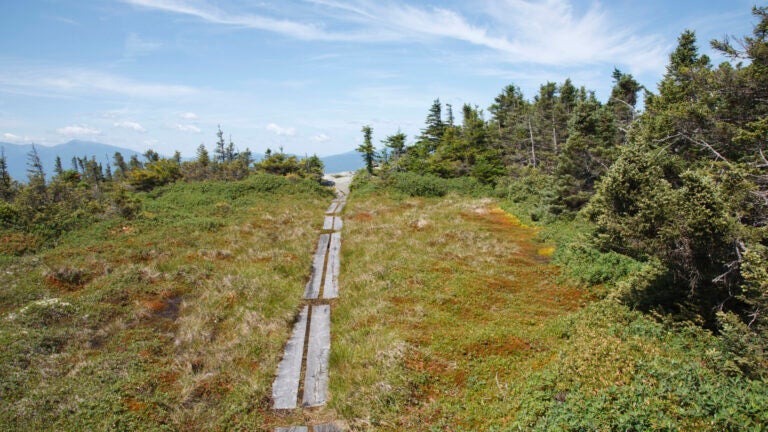 New England has 2 of the most 'amazingly scenic' hikes in the