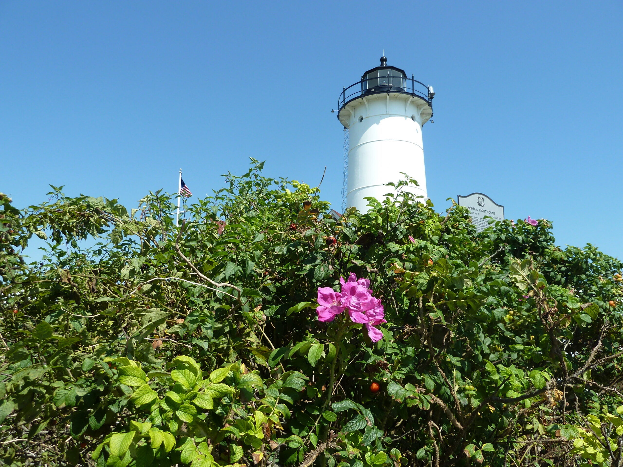 It’s a good year for the Cape Cod rental market Buying, Luxury, News