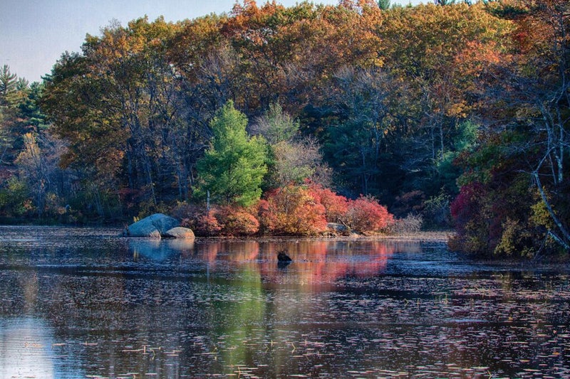 You'll find America's most beautiful foliage at this New England ...