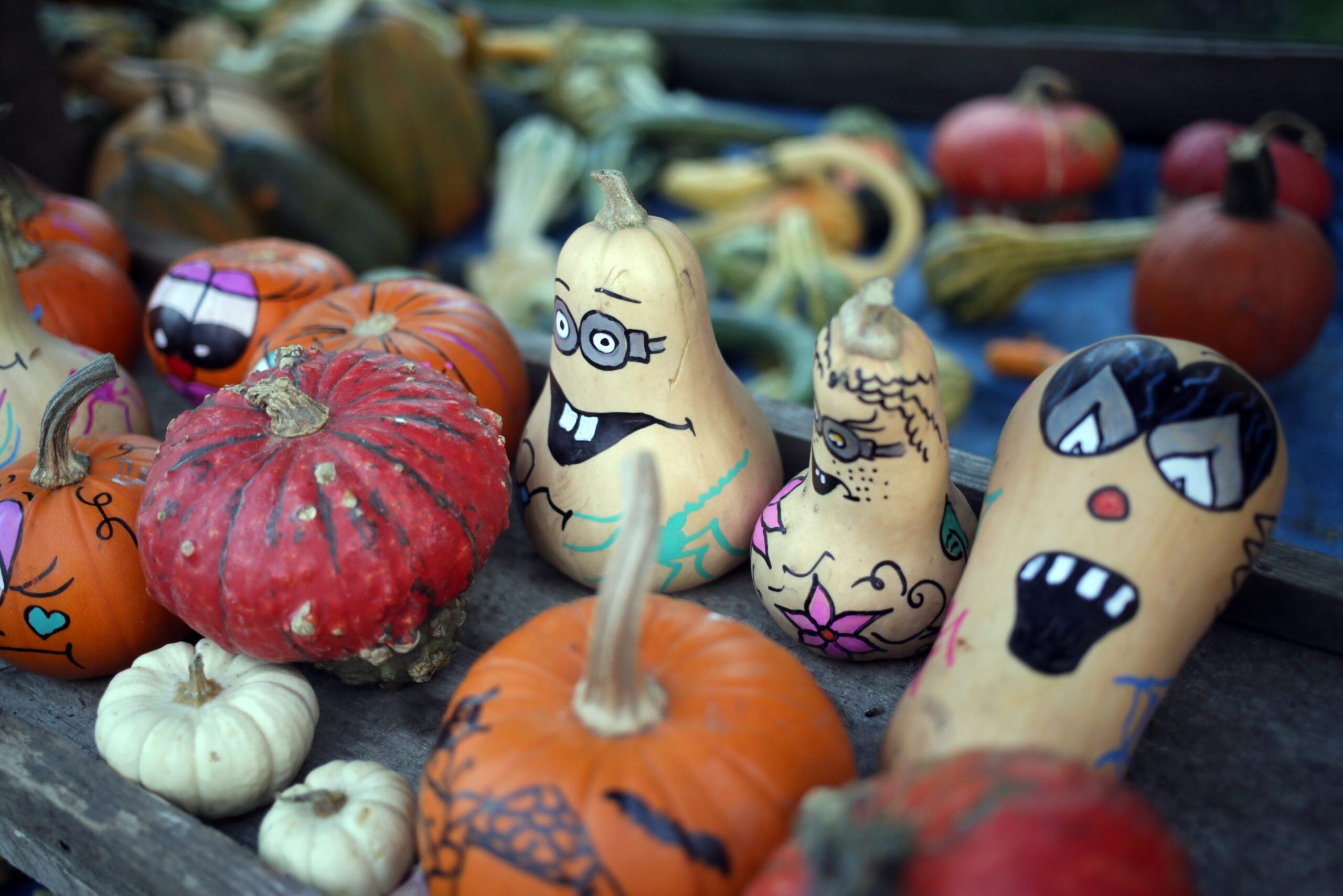 This Newton haunted house uses science to scare you