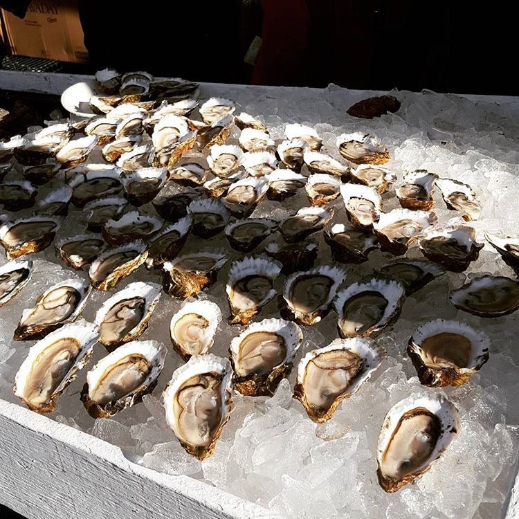 Get your shuck on and check out these photos from OysterFest