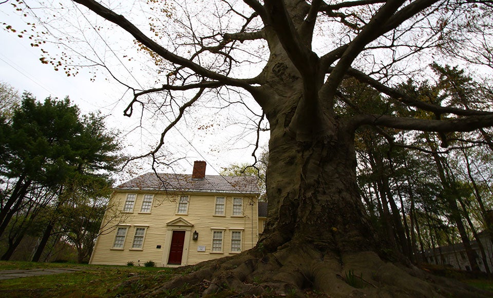 5 things to know about living in Wayland Buying, News