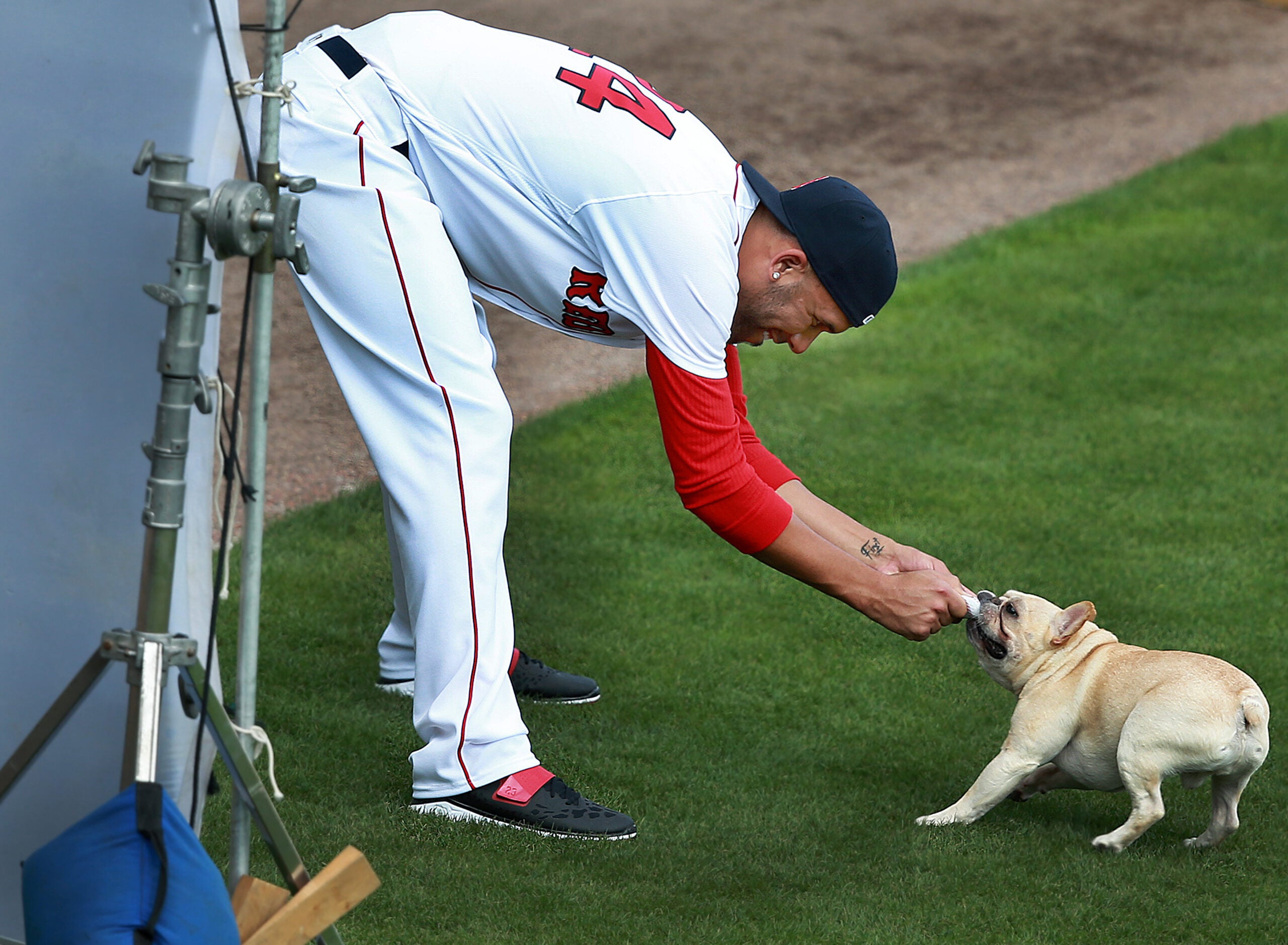 David Price's dog Astro receives assortment of gifts from Dodgers