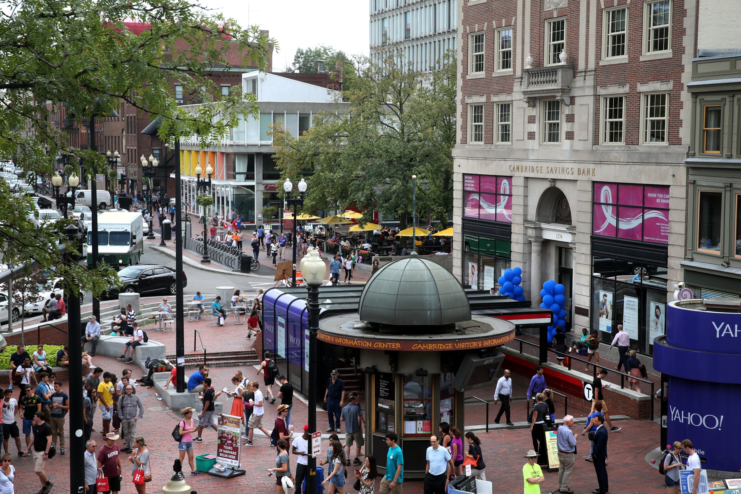 5 things to do in Harvard Square