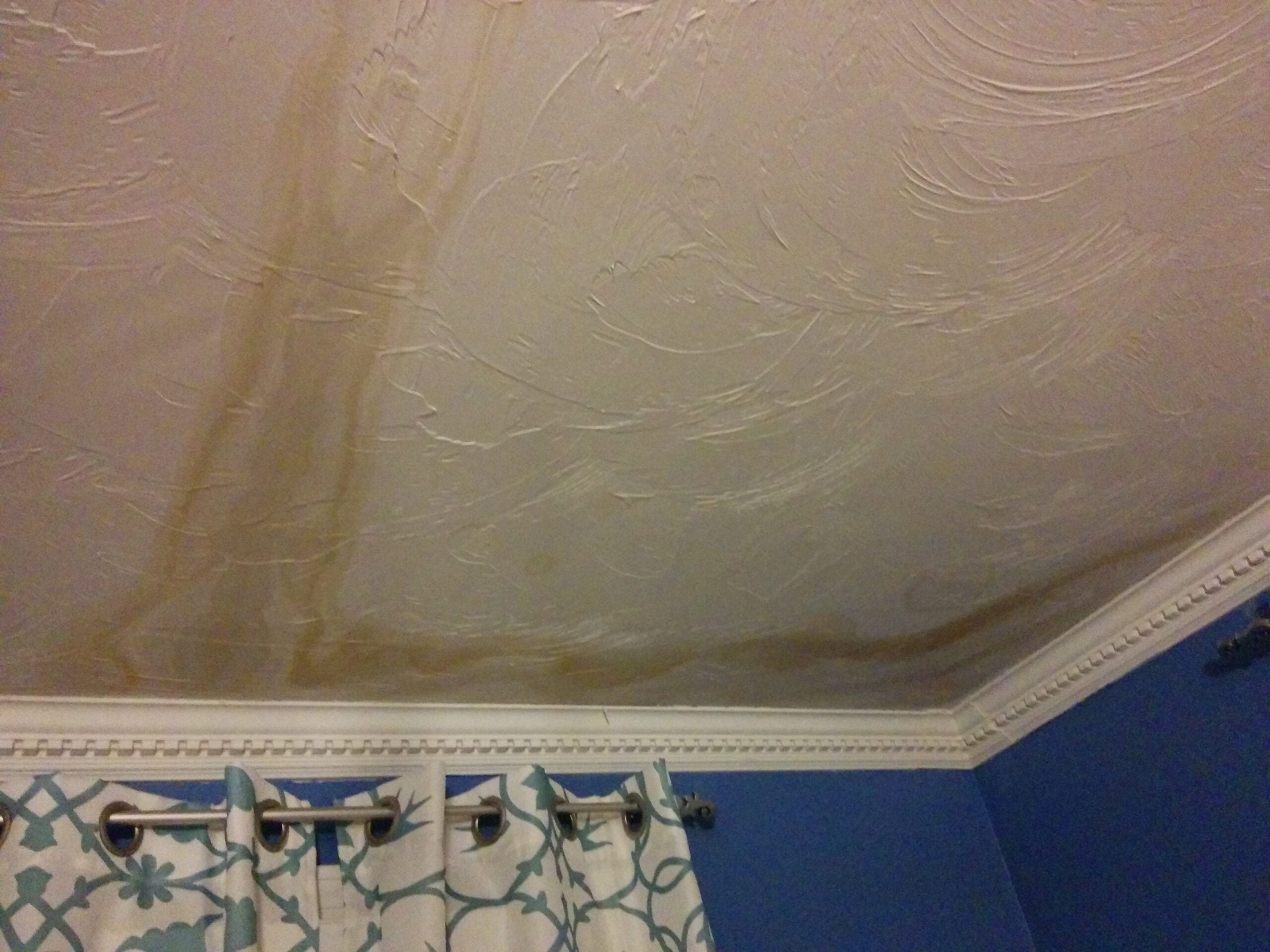 How To Advice On Wet Walls Ceilings