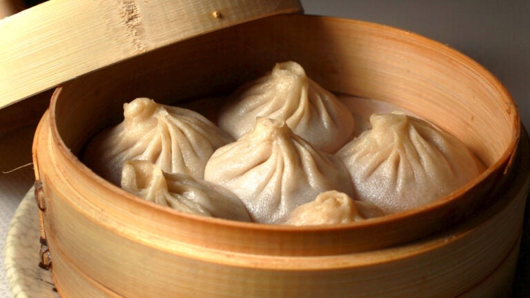 Dumpling Palace Boston