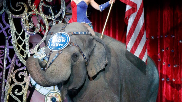 Elephants Perform For Final Time At Ringling Bros.