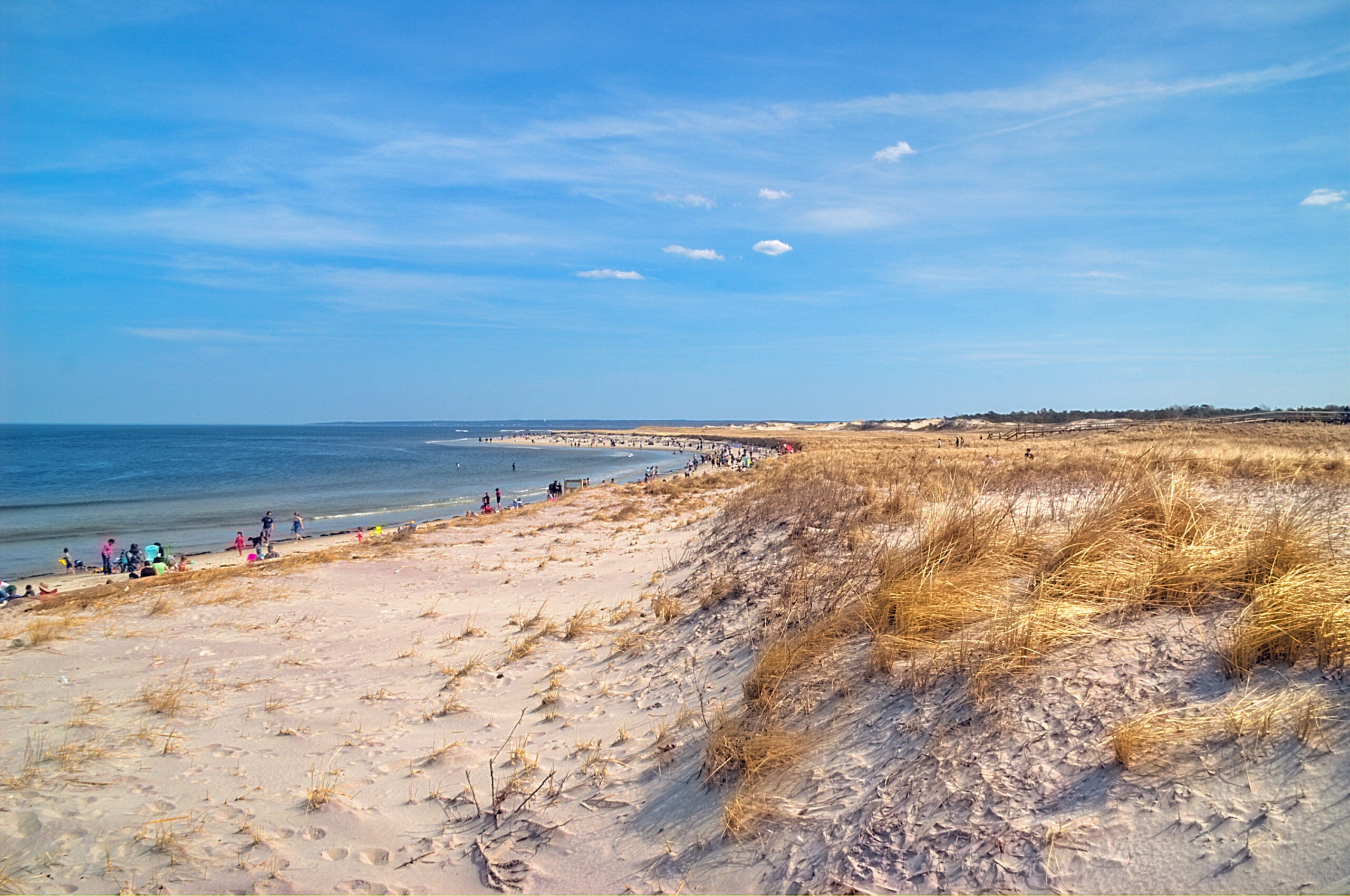 The best beaches in Massachusetts, according to Foursquare