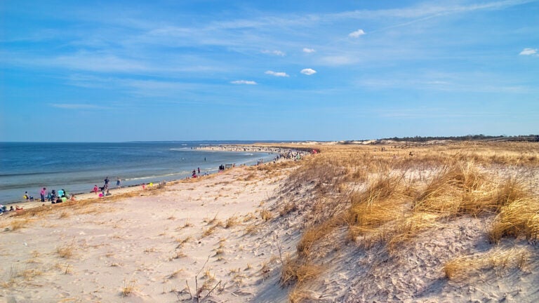 Crane Beach Water Temperature: A Comprehensive Guide for Locals and Visitors