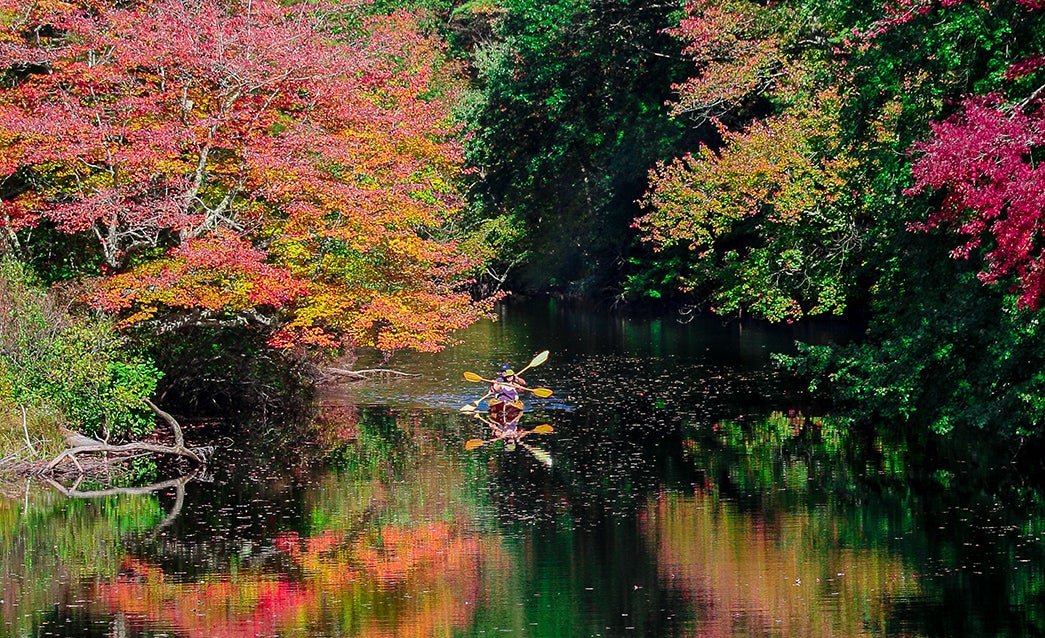 5 places to see fall foliage in Rhode Island