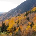 New England Fall Foliage