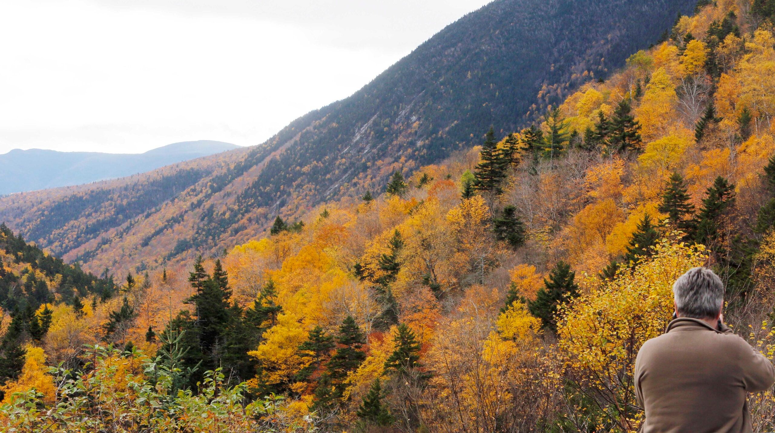 New England Foliage Map