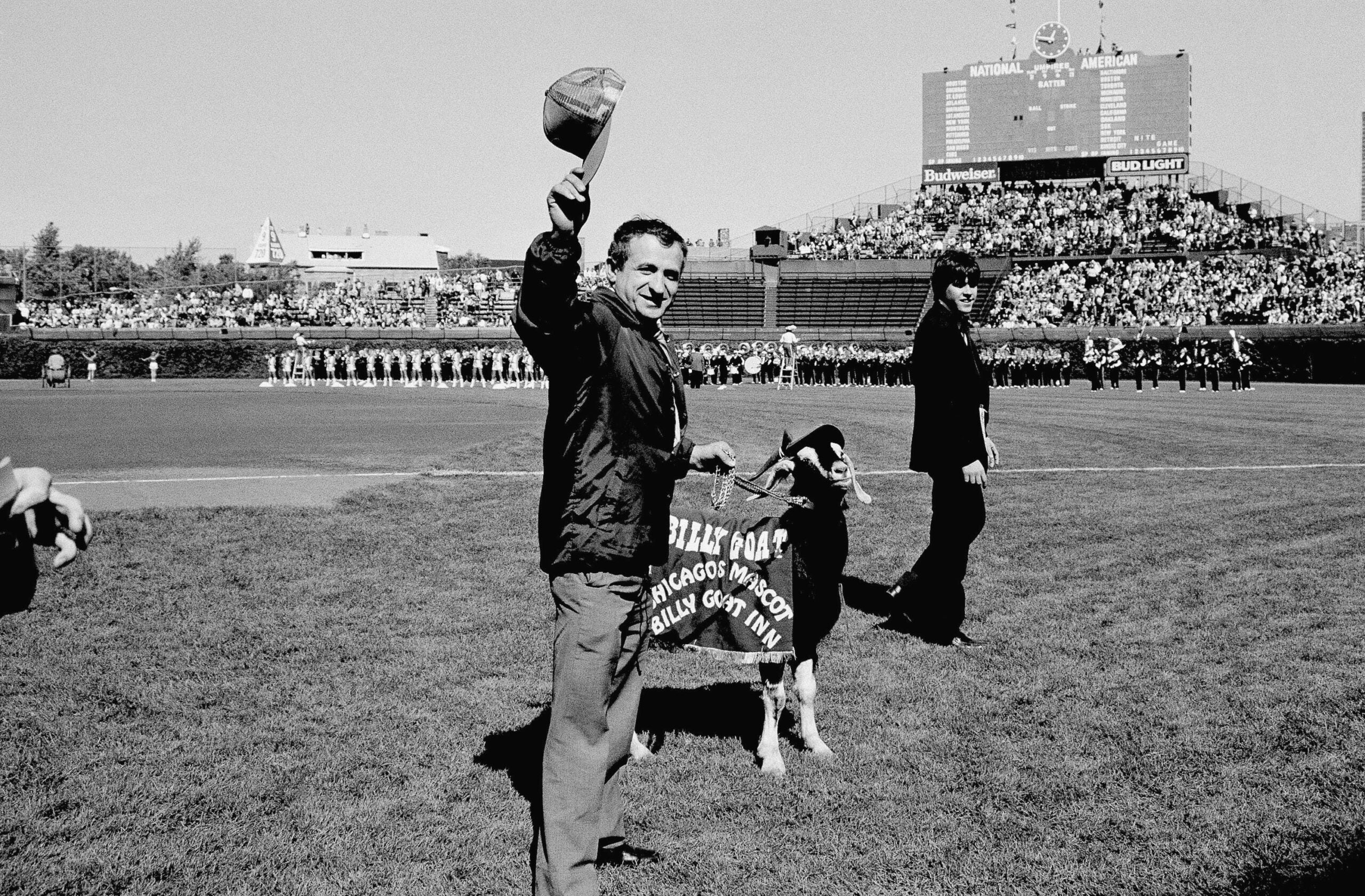 Translations included: Cubs have opening for 'part-time mascot