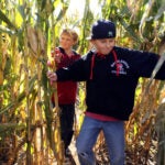 A pair of children plow through the maze at Connors Farm in Danvers.