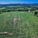 The 2015 maze at Great Vermont Corn Maze.