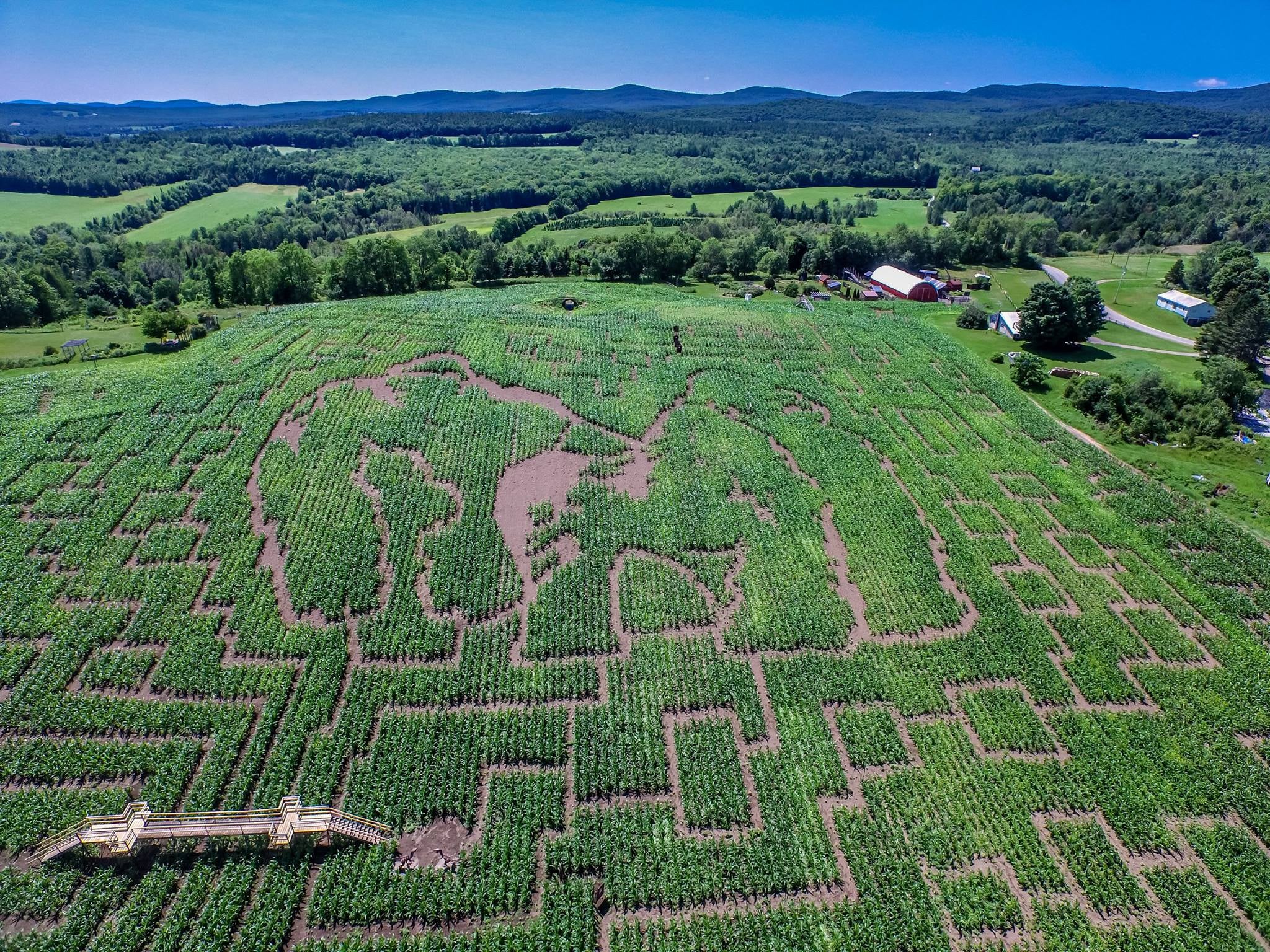 The 2015 maze at Great Vermont Corn Maze.