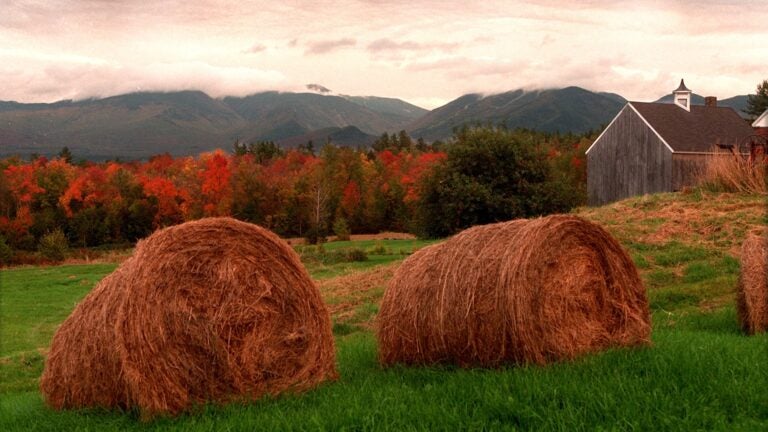 Fall Foliage in New Hampshire