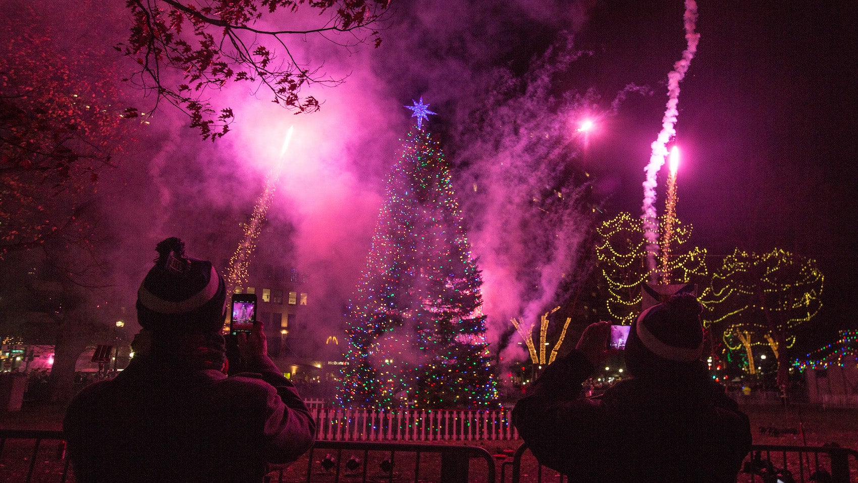 Why Nova Scotia gives Boston its Christmas tree for free every year