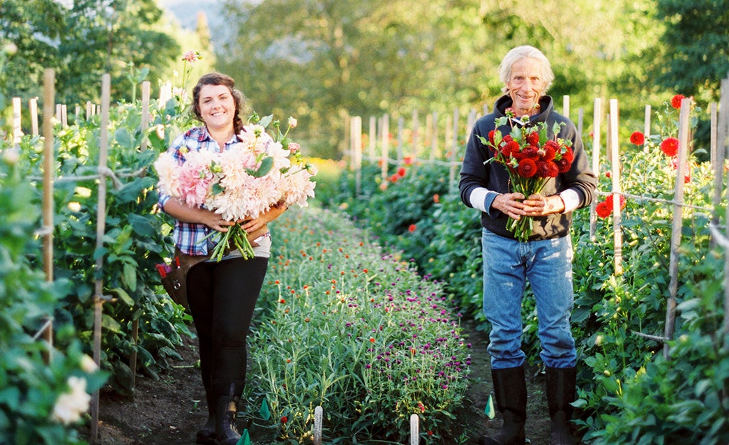 Help Us Trial the Organic Fertilpot - White Flower Farm's blog