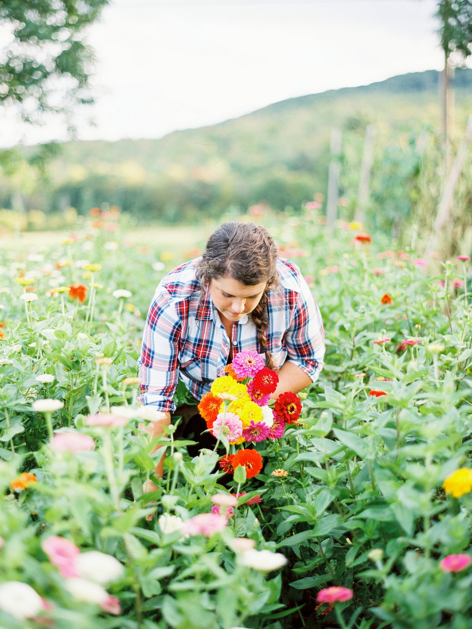 Help Us Trial the Organic Fertilpot - White Flower Farm's blog