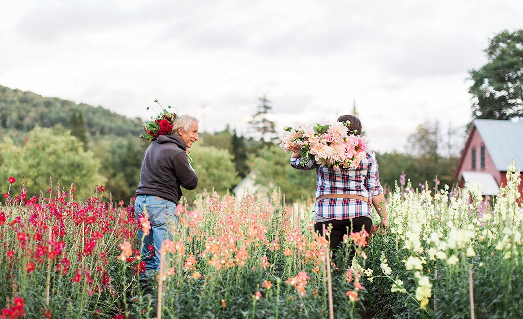 Help Us Trial the Organic Fertilpot - White Flower Farm's blog