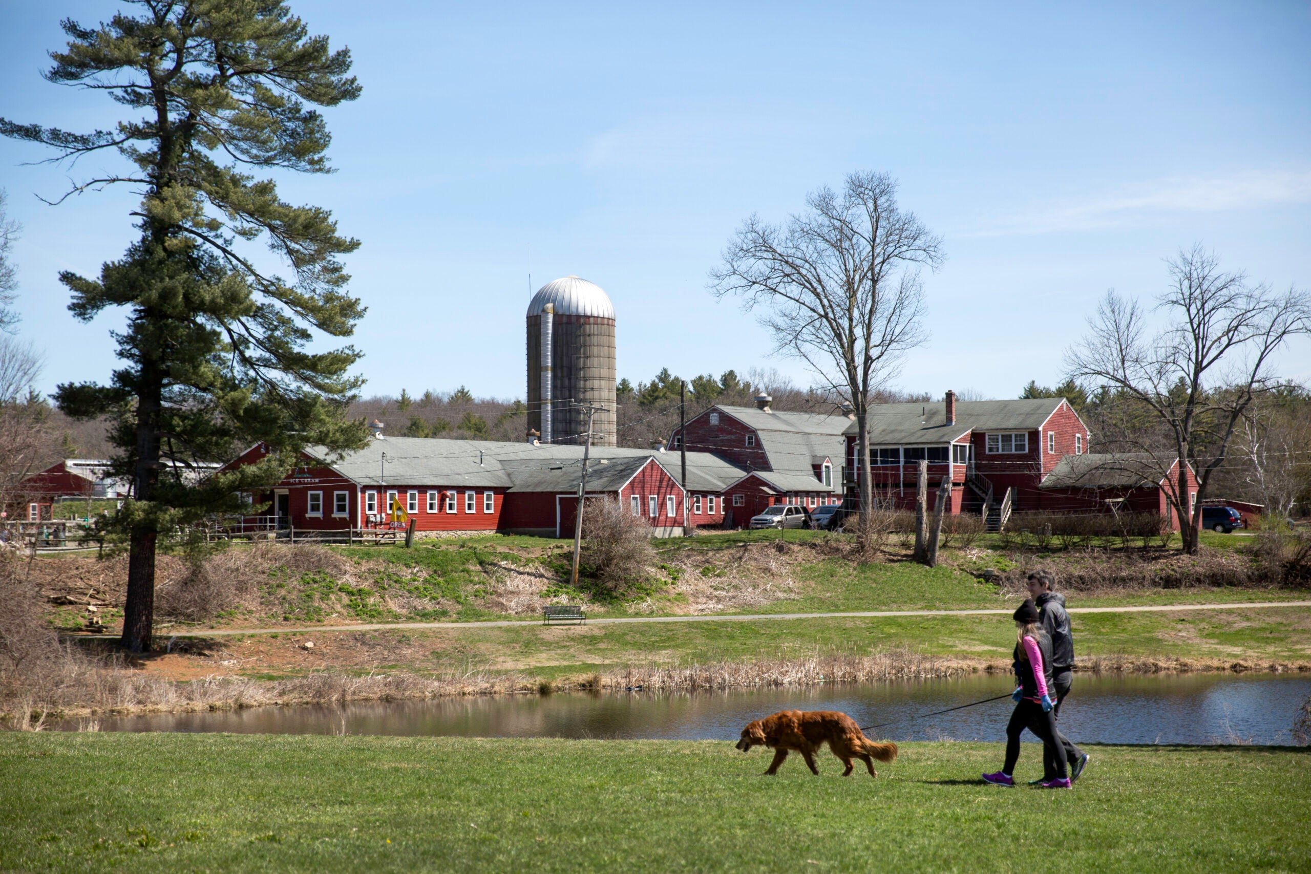 What is it like to live in Carlisle? Location, Location, Location