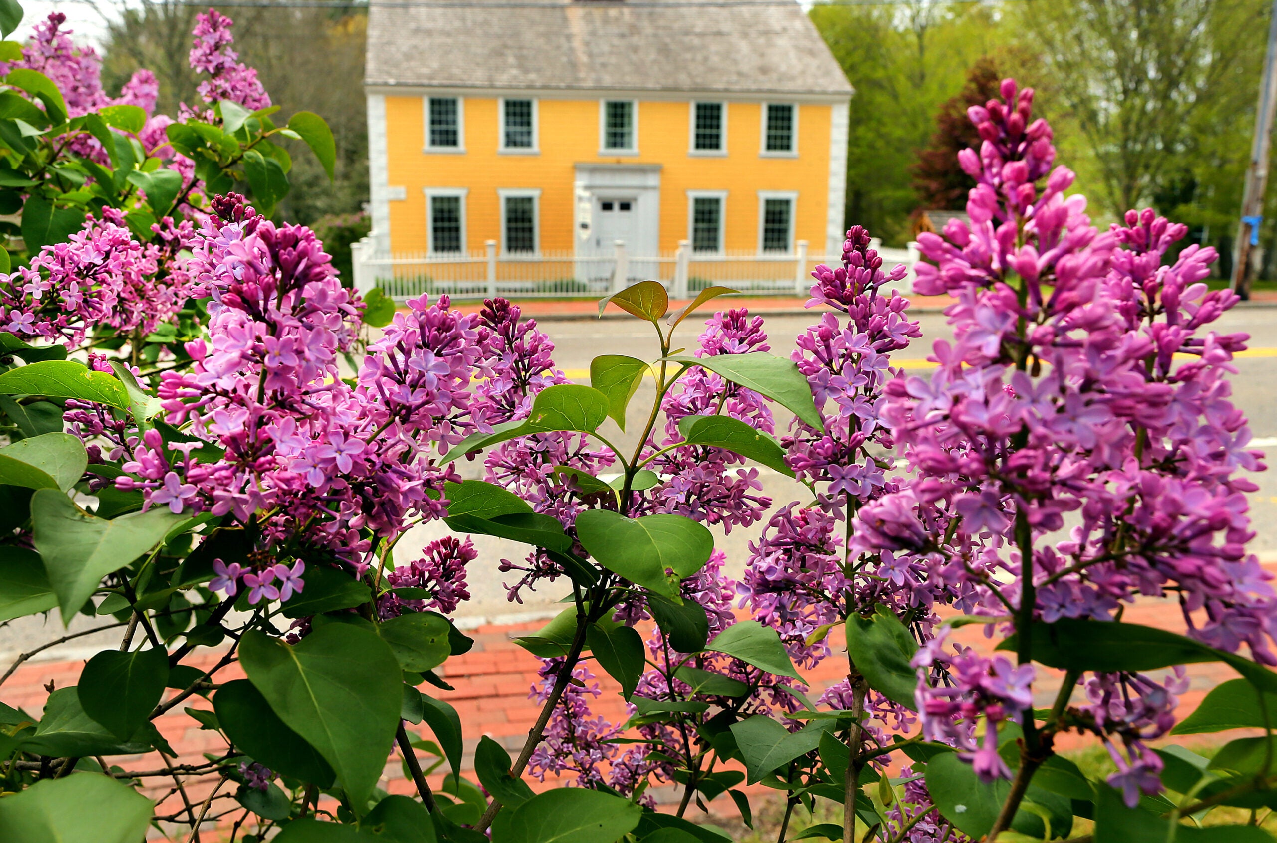 What is it like to live in Hanover? Location, Location, Location