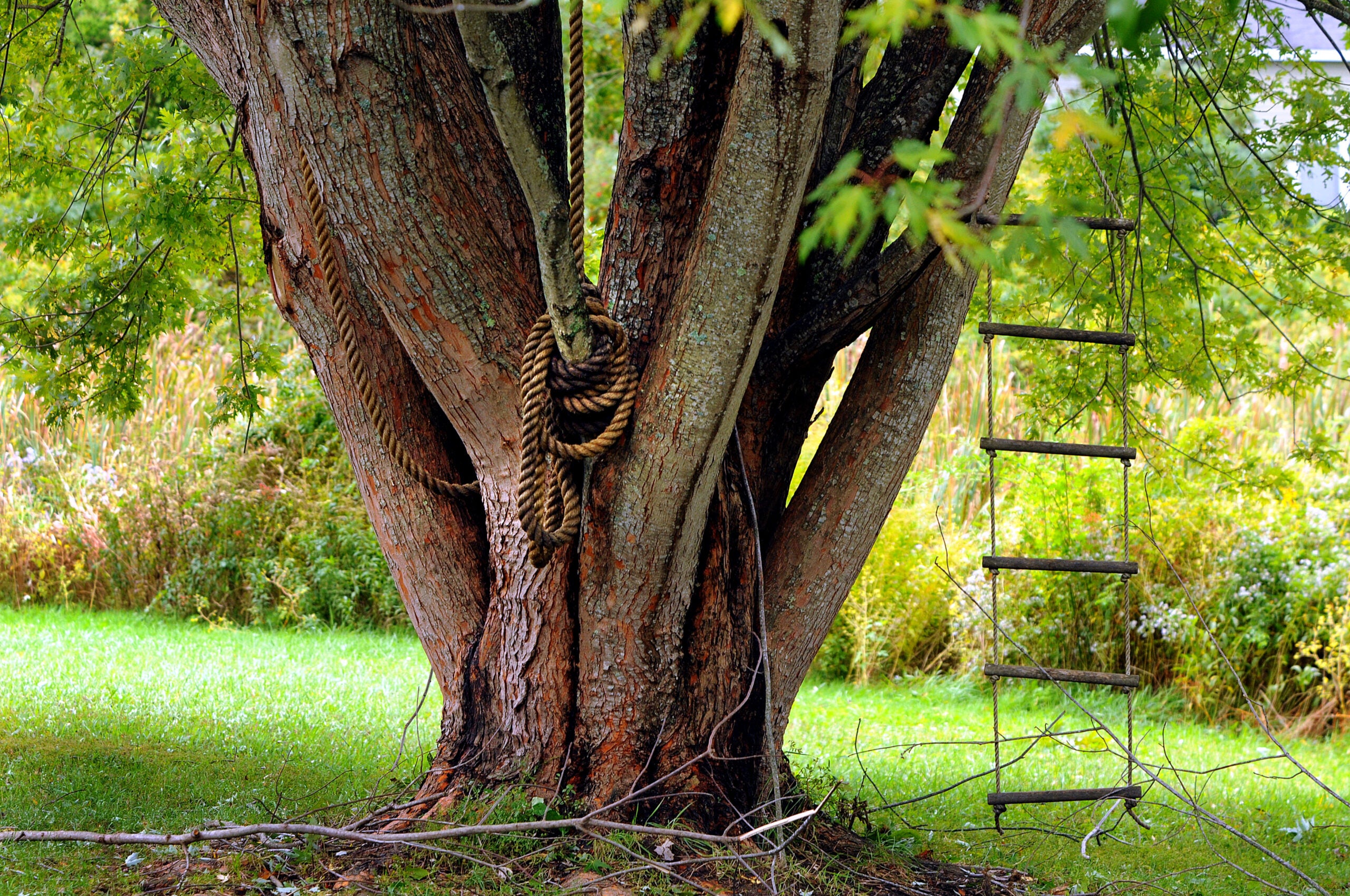 What is it like to live in Middleborough? Location, Location