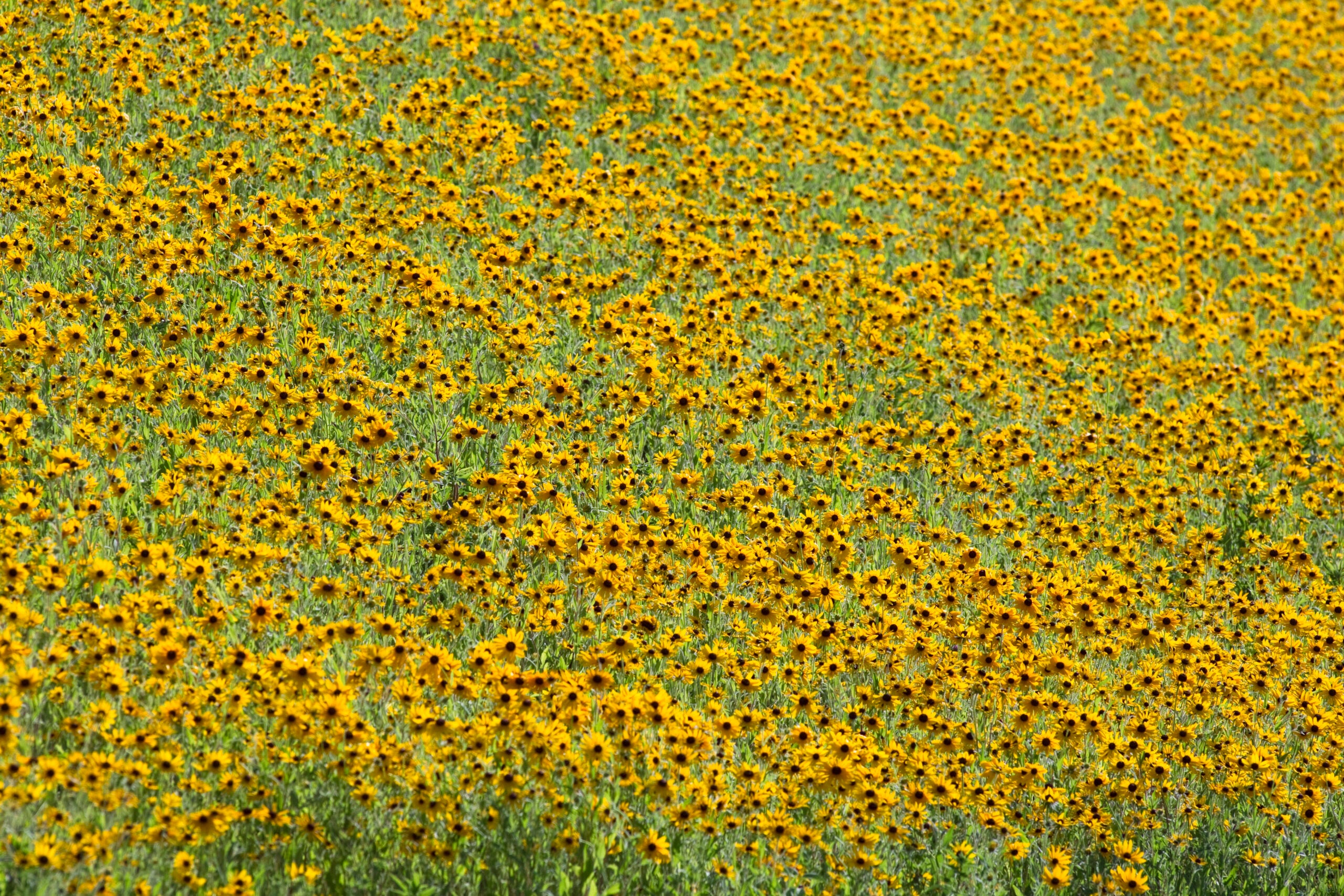 gel kayano 26 vs nimbus 22