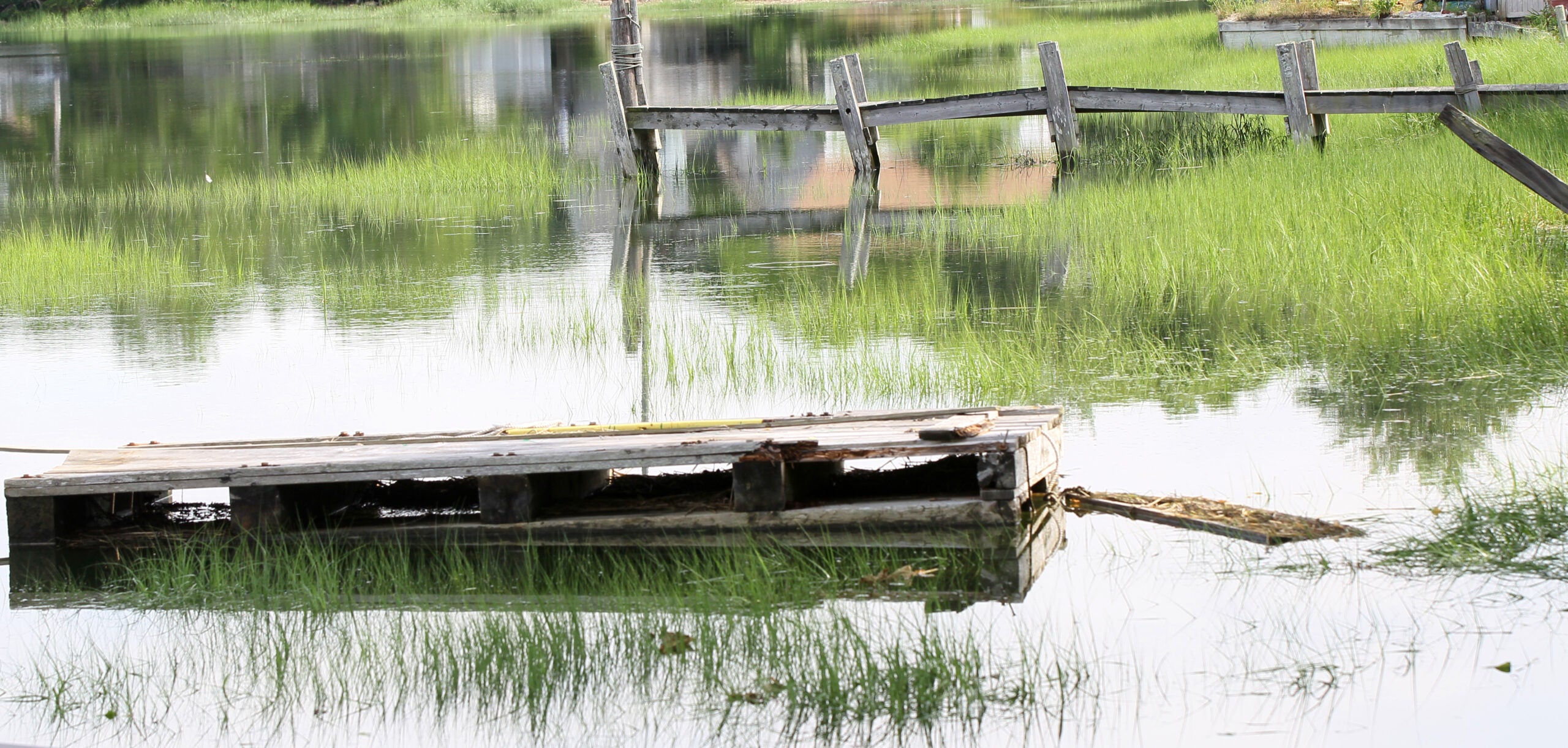 What is it like to live in Wellfleet? Location, Location, Location, Luxury Real