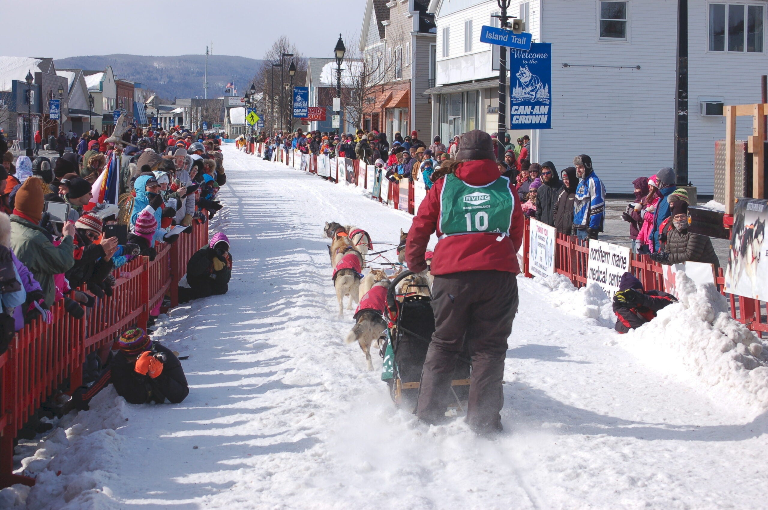 Maine's biggest dog sled race gets underway in Fort Kent