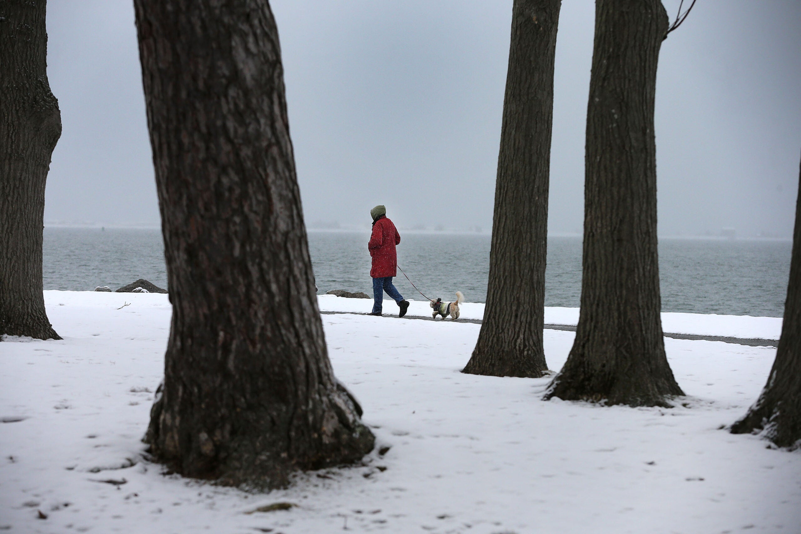 Here’s How Much Snow Has Fallen So Far In The Region