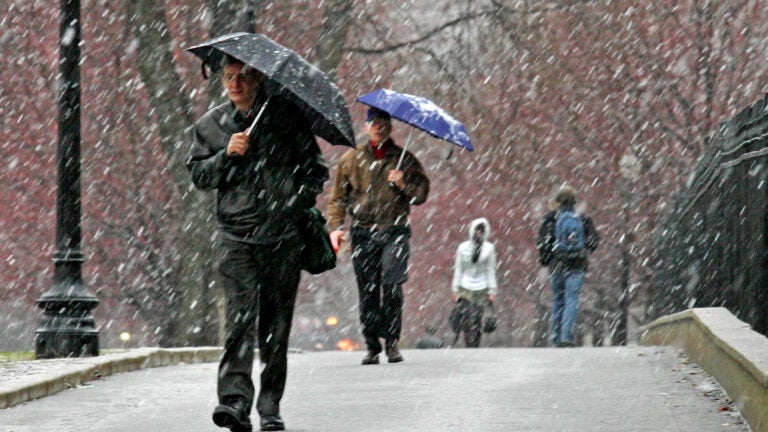 Boston Common Snow